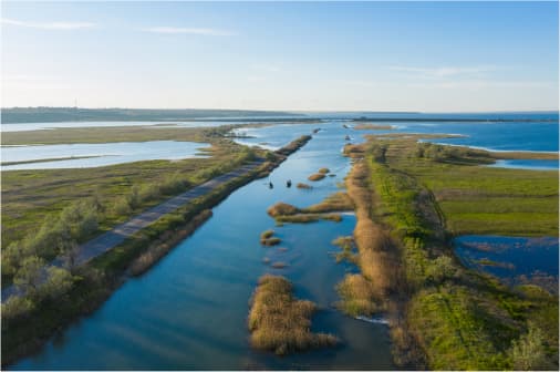 Регіональний ландшафтний парк Тилігульський, екологічний туризм і природна краса, відпочинок на природі, Флора, Фауна