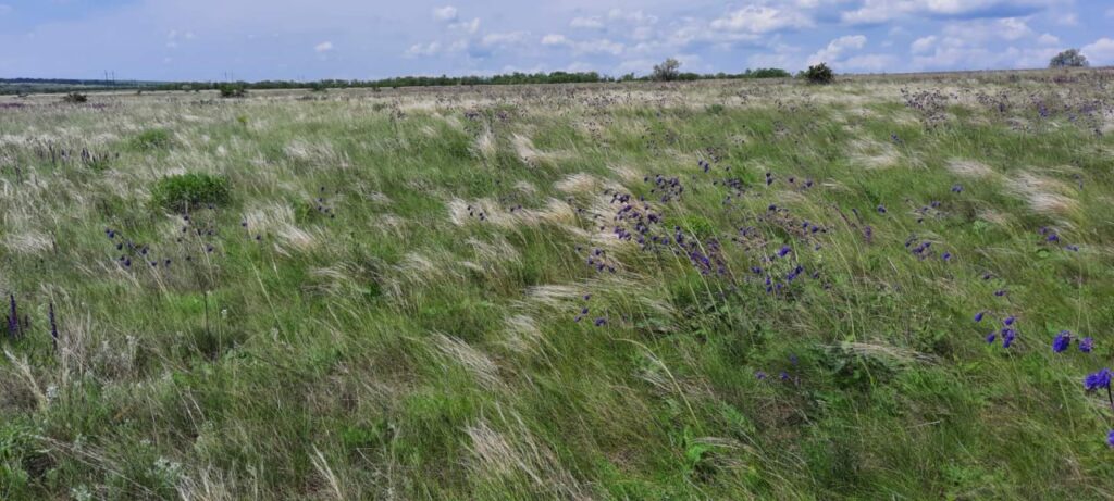 Регіональний ландшафтний парк Тилігульський, екологічний туризм і природна краса, відпочинок на природі, Флора, Фауна