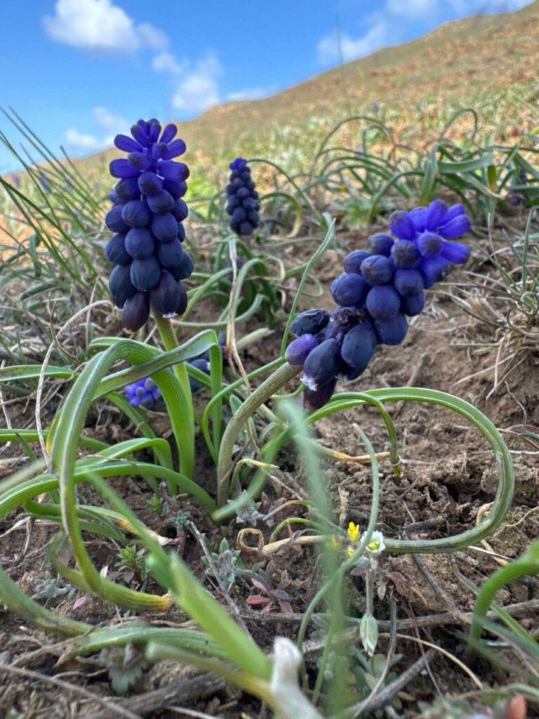 Безбар’єрність у РЛП "Тилігульський" - Copy