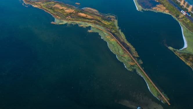 Регіональний ландшафтний парк Тилігульський, екологічний туризм і природна краса, відпочинок на природі, Флора, Фауна